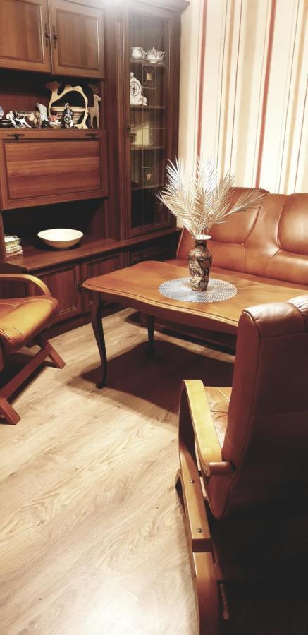 Apartamenty Izera Jaworzno Blisko Katowic Esterno foto